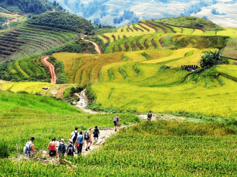 3 Days 2 Nights in Hoi An Old Town – VietNam Tour